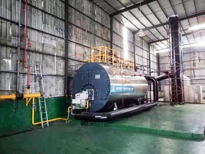 廣東燃氣鍋爐泰達包裝制品6噸燃氣蒸汽鍋爐