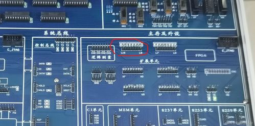 計算機(jī)組成原理實驗二 存儲系統(tǒng)預(yù)習(xí)報告——計算機(jī)數(shù)據(jù)處理及存儲服務(wù)