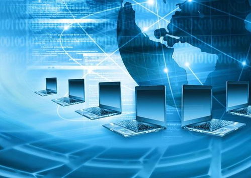 計(jì)算機(jī)網(wǎng)絡(luò)的組成與功能及數(shù)據(jù)處理存儲(chǔ)服務(wù)